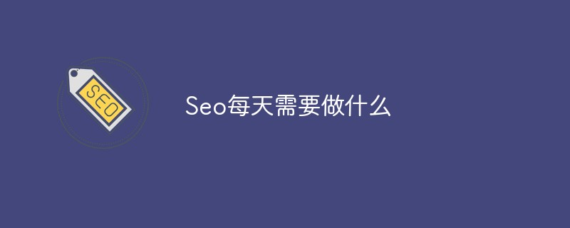seo每天需要做什么项目（Seo每天需要做什么）