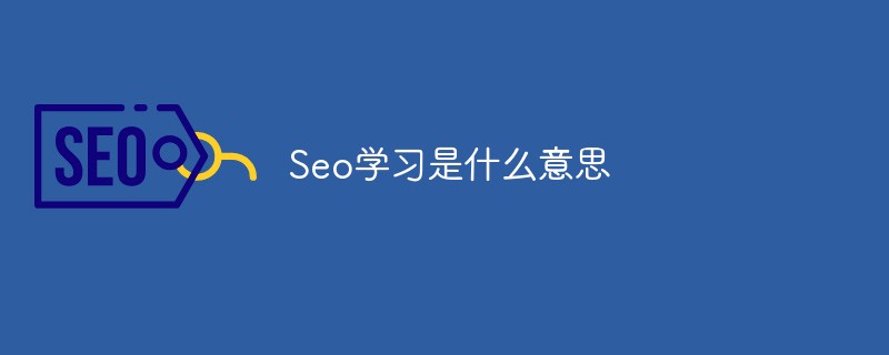 直播seo是什么意思（seo是什么意思）