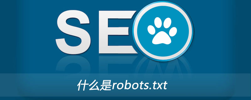 什么是 robots.txt？