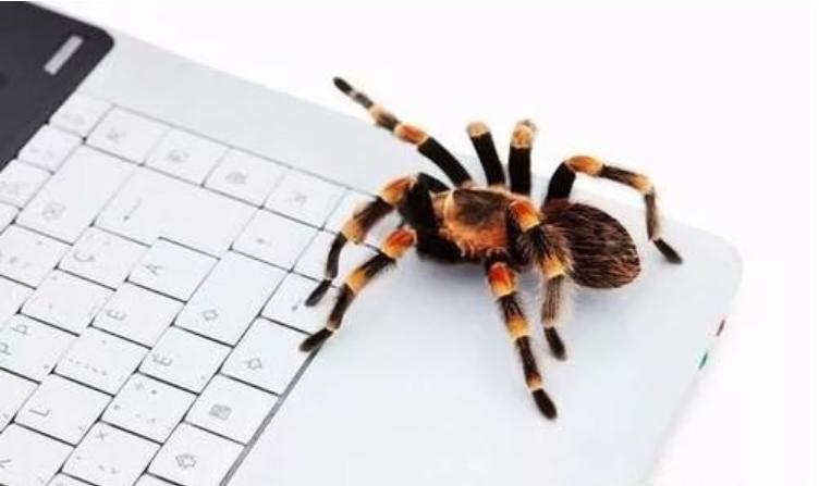 网络宣传推广分析蜘蛛的抓取喜好，找到提升网站排名“宝典”