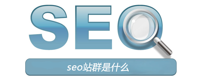 seo站群是什么意思（seo站群是什么）